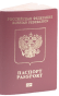 Значок паспорта
